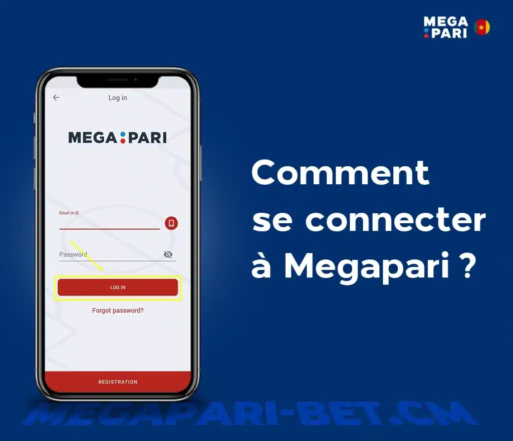 Comment se connecter à Megapari